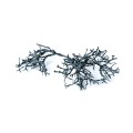 DRY TREE MALE WAX - GRANATOWY.jpg