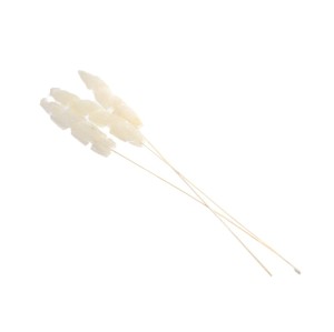 LUFFA SCREW STICK BLD