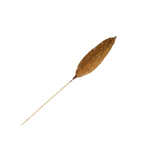 NUL LEAF STICK - 50 cm