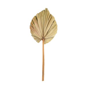 PALM SPEAR KING - 100cm