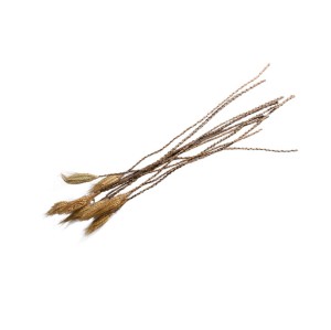 WHEAD GRASS CANDLE STICK (zboże)