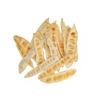 ALBEZIA LEAF BLD