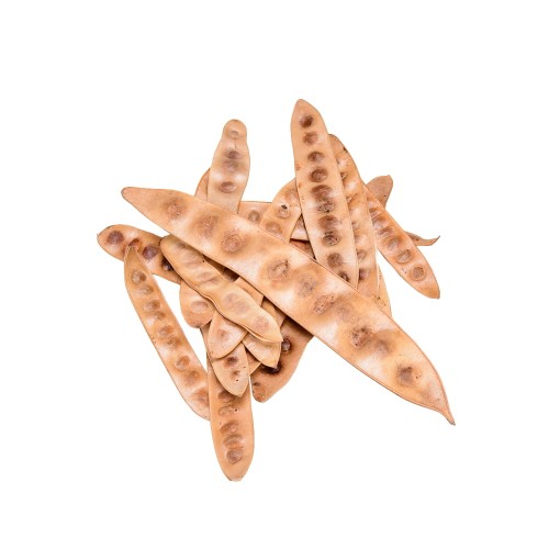 ALBEZIA LEAF.jpg