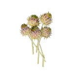 CYNARA FLOWER LIME FR