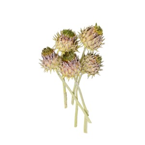 CYNARA FLOWER LIME FR