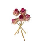 CYNARA FLOWER 