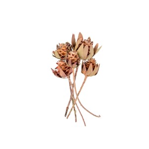 DAPHNOIDES