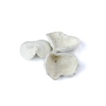 BADAM WAX