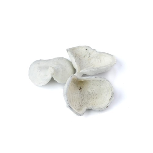 BADAM WAX - BIAŁY.jpg