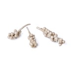 ACORN BUNCH WAX COLOR