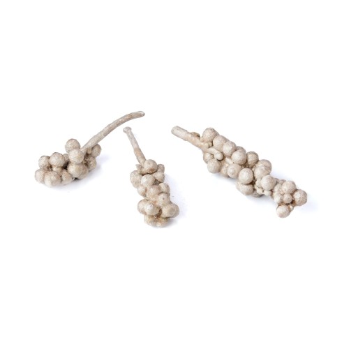 ACORN BUNCH WAX - BRĄZOWY.jpg
