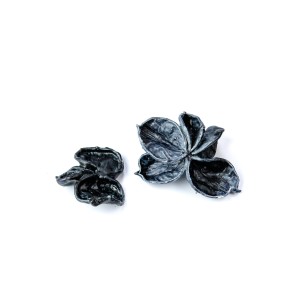 LAND LOTUS WAX COLOR