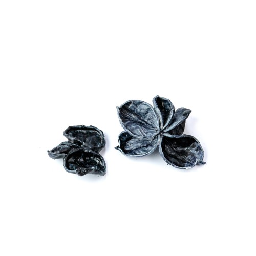 LAND LOTUS WAX - GRANATOWY.jpg
