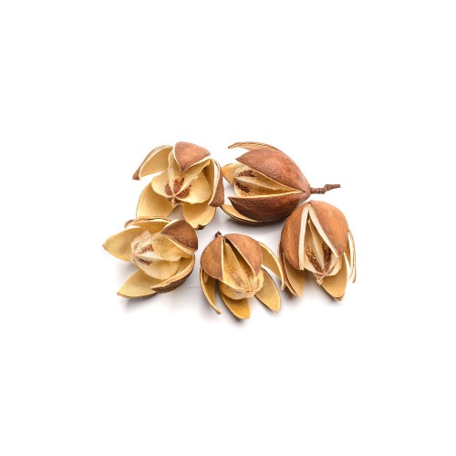 LILLY - NATURE.jpg