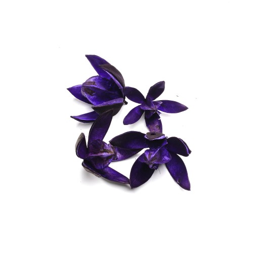 LILLY - PURPUROWY : PURPLE (1).jpg