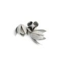 WILD LILLY - SREBRNY FLOK .jpg