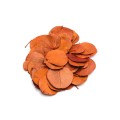 LIŚĆ MONETKA - POMARAŃCZOWY : ORANGE.jpg