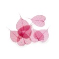 LIŚĆ PEEPUL - RÓŻOWY : PINK.jpg