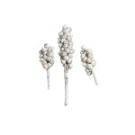 ACORN BUNCH WHITE WASHED