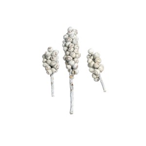 ACORN BUNCH WHITE WASHED