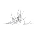 AKURIA LEAVES - WHITE WASHED.jpg