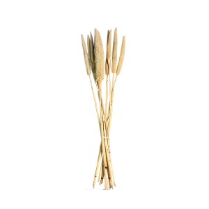 BABALA STICK