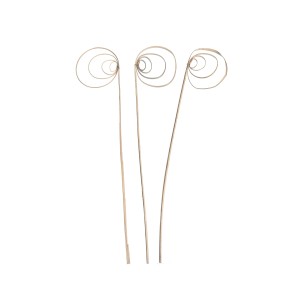 CANE COIL