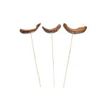 COCO MOON STICK