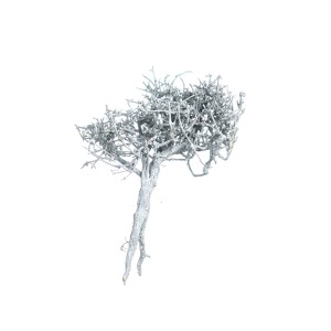 DRY TREE GREY-WHITE WASHED