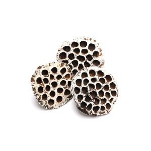 LOTOS LARGE SNOW TIP
