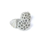 LOTOS LARGE WAX COLOR
