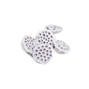 LOTOS LARGE WHITE FLOCK