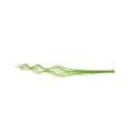 CURLY WILLOW 140cm - GREEN.jpg