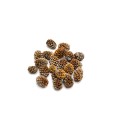 SALIGNUM - NATURE.jpg