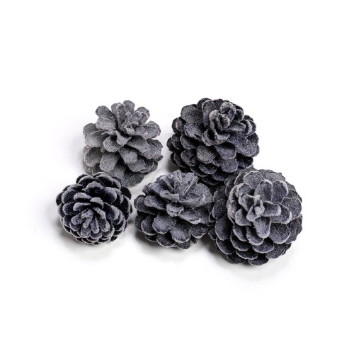 PINE FRUIT : CONE - CZARNY FLOK.jpg