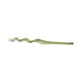 CURLY WILLOW 140cm - OLIVE GREEN.jpg