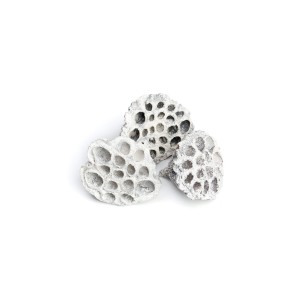 LOTOS MDM GLITTER-WHITE WASHED