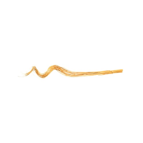 CURLY WILLOW 60cm - GOLD YELLOW.jpg