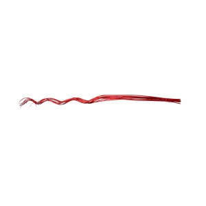 CURLY WILLOW 180cm