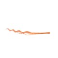 CURLY WILLOW 140cm -  LIGHT ORANGE.jpg