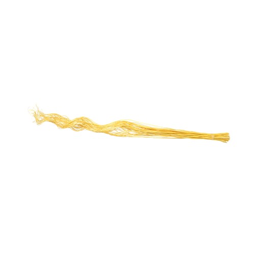 CURLY WILLOW 140cm - LIGHT YELLOW.jpg