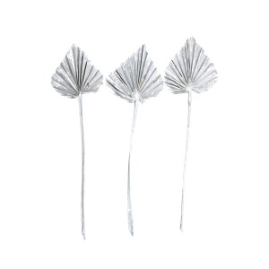 PALM SPEAR GREY-WHITE WASHED