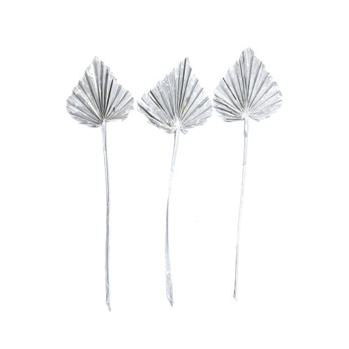PALM SPEAR - SZARY + WW.jpg